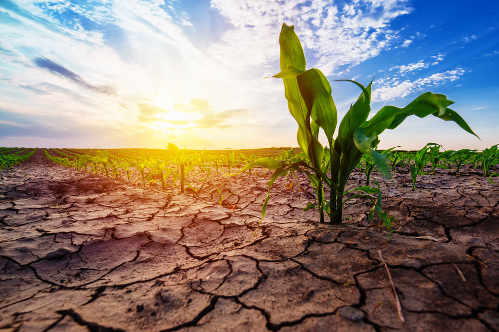 A water crisis is considered one of the Most urgent challenges, and water resources around the world are under severe pressure | تعتبر ازمة المياة من اكثر التحديات الحاحا وتتعرض الموارد المائية حول العالم لضغوط شديدة