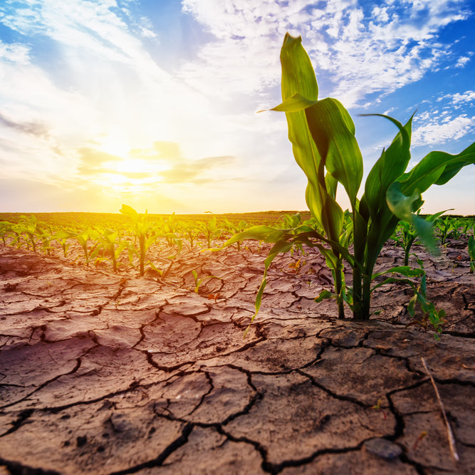 A water crisis is considered one of the Most urgent challenges, and water resources around the world are under severe pressure | تعتبر ازمة المياة من اكثر التحديات الحاحا وتتعرض الموارد المائية حول العالم لضغوط شديدة