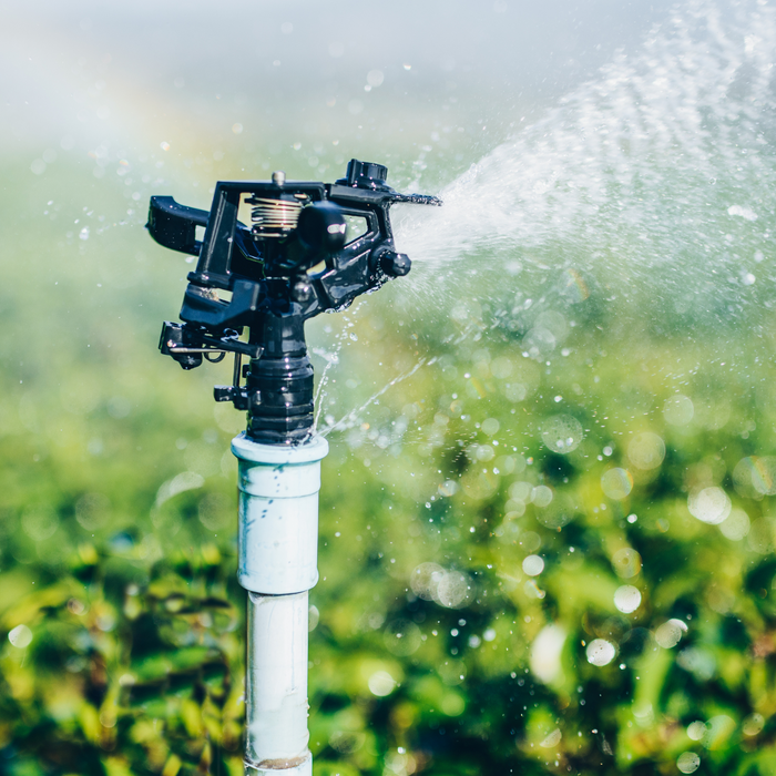 Dealing with high temperatures, and irrigation | التعامل مع الحرارة العالية والري