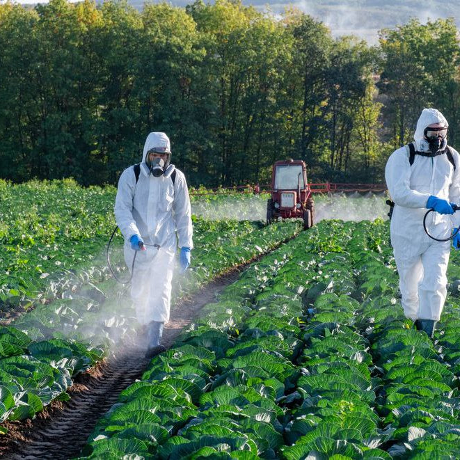 المبيدات الفوسفورية العضوية | Organophosphorus Pesticides