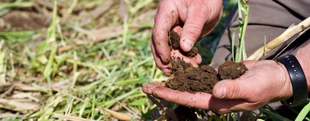 Nurturing Soil Health | رعاية صحة التربة