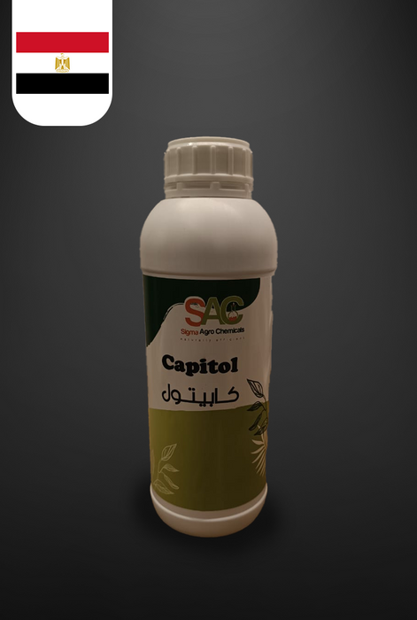 Capitol | كابيتول