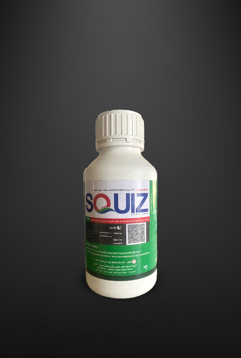 SQUIZ 38% |38%  سكويز