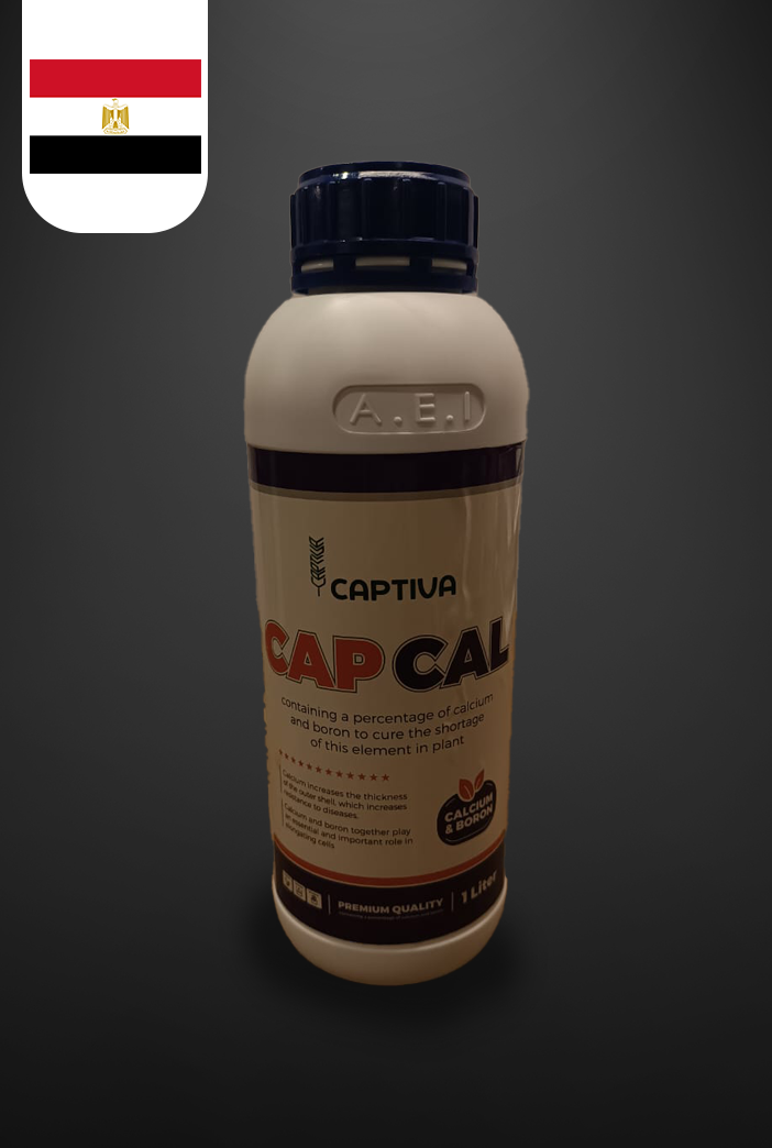CAP CAL | كاب كال — Cowboyzz.Com | Egypt