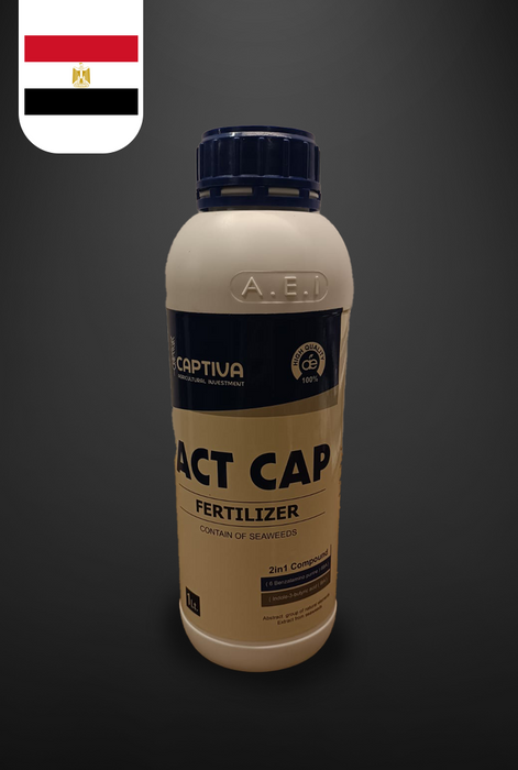 ACT CAP | أكت كاب